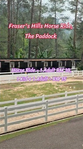 Highland Horse Rides🐎|Fraser’s Hill| The Paddock |Paddock Wonderland #travel #malaysia#longdrive#kl