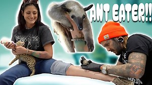 Epic Anteater Tattoo at the Zoo | Behind the Scenes