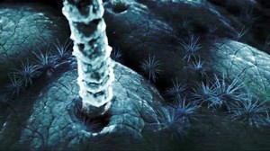 Nano Assault Neo-X PS4 Release Date Revealed