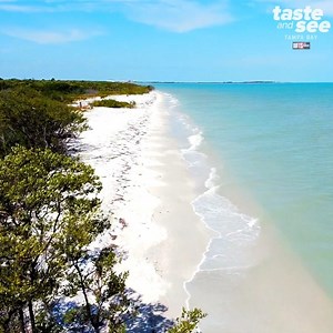 Caladesi Island is a natural, secluded escape in Tampa Bay. It's one of the few untouched islands along the Gulf Coast and it's only accessible by boat 🌴😎🏖🚤 | Zack Perry
