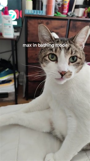 Max is a yoga master lol!