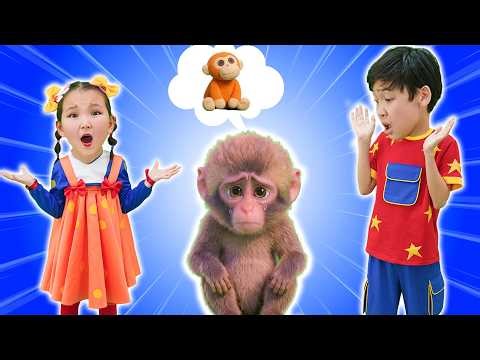 Where Is My Toy? | Find My Toy! | Monkey Punch Song | Hokie Pokie Kids Videos