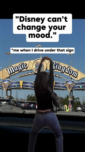 I beg to differ 😬 #disneylife #disneyworld #disneyparks #disneyadult #disneypixiedusters