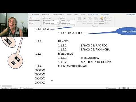 PLAN DE CUENTAS CONTABLE