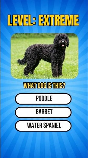 🐶IMPOSSIBLE DOG Quizz, Good luck getting one right! 🐶