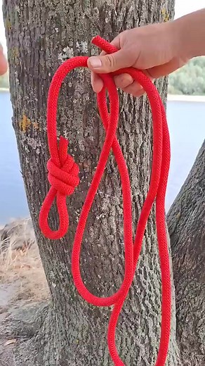 Fix for a tree. | Abby