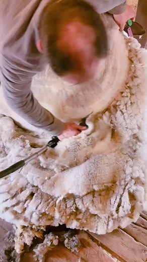 Corey Bricker (@coreybricker)’s videos with supalonely - Josiane Lessard