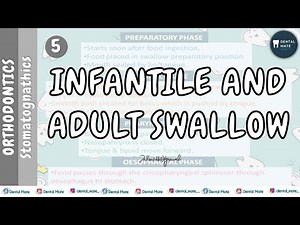 Adult Swallow | Deglutition | Infantile Swallow | Dr Paridhi Agrawal