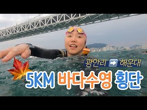 🌊 Busan Gwangalli to Haeundae 5km Ocean Swim Vlog | Haebafin, Nurimaru, Dongbaekseom Island, Open...
