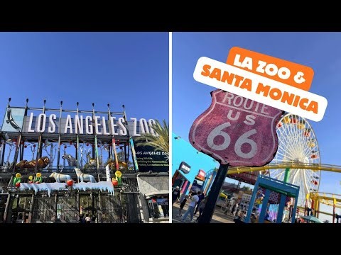 LA Zoo 🦁 & Santa Monica Pier 🎡 An Incredible Day Exploring Los Angeles
