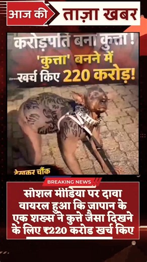 Spent ₹220 Crore to Look Like a Dog? The Full Truth About the Viral Dog Man | #shorts #japan #vir...