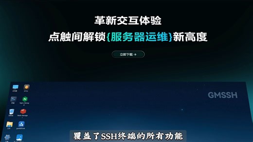 一个在服务器内置浏览器的ssh终端面板，无需部署免费使用