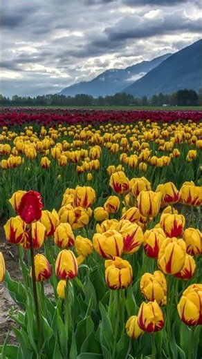 Pourquoi le cœur reste vide – Part 2