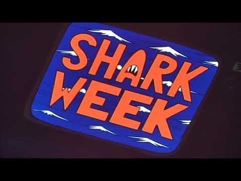 Rocket Power - Shark Week On The Brain Channel