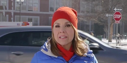 Alicia Acuna (Fox News) Wiki, Age, Height, Husband, Salary