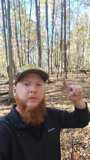 This may look like a healthy woods... But the fact is, it's struggling! | Thomas D. Anundson & David J. O'Barto, Consulting Foresters