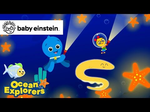 Light & Dark with Sea Friends | Ocean Explorers Song Compilation | Baby Einstein | Kids Cartoons
