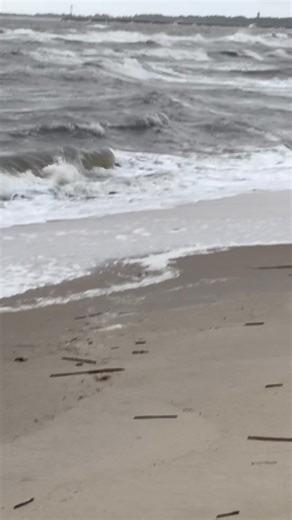 8:30 am at New York Ave. And I was surprised to see that the Ferry was operating. | Ruby Keeler Schaeffer