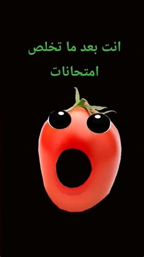 ١٢ أبريل، ٢٠٢٦