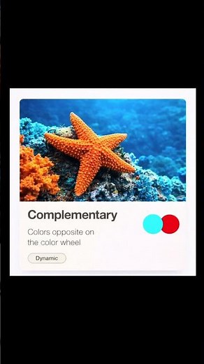 Color Theory Explained in 10 Seconds 🎨 | Basics Every Creator Should Know