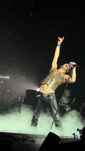 Hello Heaven: Yungblud Concert Experience