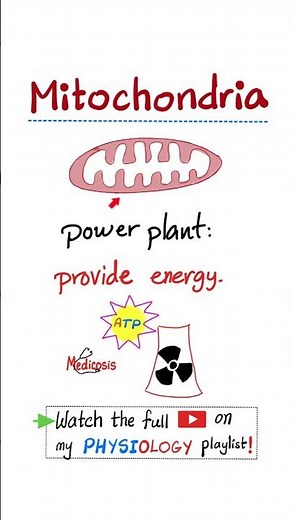 Cell Organelles - Mitochondria, Lysosomes, Golgi - Biology & Physiology...#doctor #nurse #SAT #ACT