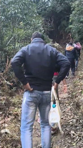 hike to triffin dara view point#travel #darjeelingsightseeing #train #driving #hiking #foothills