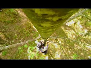 man vs wild in Hindi new episode 2023 | discovery in hindi | bear grylls in hindi |