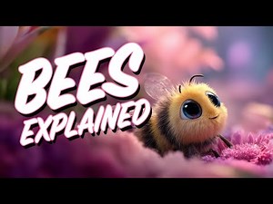 The importance of Bees Explained to Kids