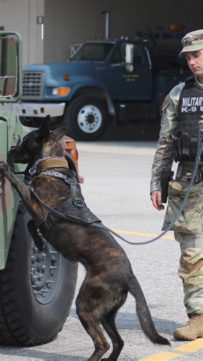 DAY ONE - Awesome Teams, Awesome Training. Army MWD Program #2024ArmyMWDSymposium #workingdogs #mwd | Custom Canine Unlimited