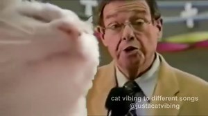 889K views · 11K reactions | Rappin' For Jesus... credit: @micklagi on tiktok | Vibe Cat | Facebook