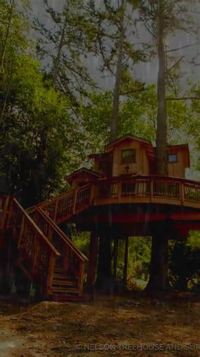 Treehouse in the Rain Heavy Thunder Sounds for Sleeping #RainSounds #DeepSleep #SleepAmbience