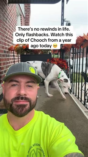 These memories get me in my feels. Look at Chooch go! I’d do anything in the world to watch him get the zoomies like that one more time. | Eddie & Chooch
