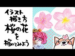 【イラスト 描き方】桜の花の絵を描いてみよう【How to draw illustrations】 Let's draw a picture of cherry blossoms