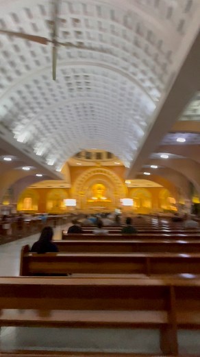 12 reactions | Anticipated Mass of Christ the King  | Little Way Devotions | Facebook