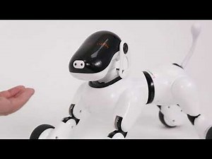 AI smart dog :Puppy...