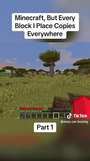 Minecraft But Every Block Copies Everywhere!
