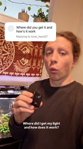 Richard on Instagram: "Best light and ONLY light I would recommend 💡 • #fish #aquarium #fyp"