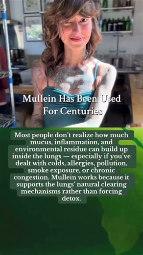 Can mullein really detox your lungs? Most people don’t realize how much mucus, inflammation, and environmental residue can build up inside the lungs — especially if you’ve dealt with colds, allergies, pollution, smoke exposure, or chronic congestion. Mullein works because it supports the lungs’ natural clearing mechanisms rather than forcing detox. How mullein tea helps cleanse the lungs: • Breaks down stuck mucus — its natural saponins thin and loosen congestion so your body can expel it more e