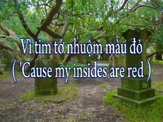 Red Means I Love You - Vietsub Lyrics