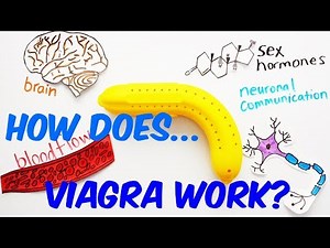 How Does Viagra Work?