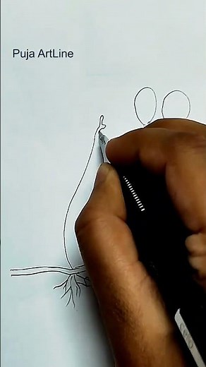 How to draw Rhizopus step/diagram of Bread mold/Biology class/Labeled Science projects/practical