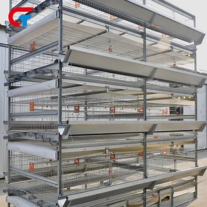 [Hot Item] Automatic Feeding Poultry Farm Equipment Chicken Cage System