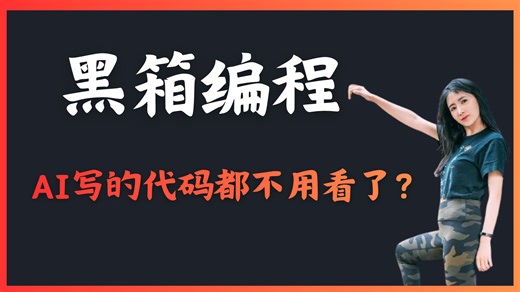 黑箱编程来了！AI 写代码，程序员只看测试。
