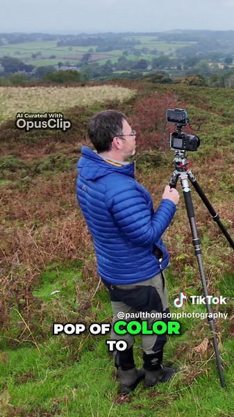 Capturing the Beauty of Autumn Rowan Trees