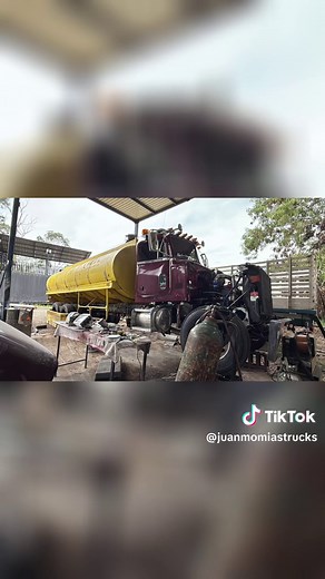 Peterbilt 357 momia #1