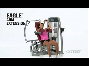 Cybex Eagle Arm Extension