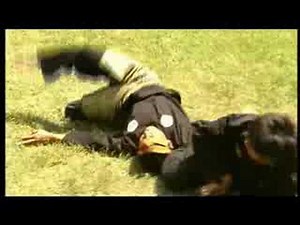 PENCAK SILAT Défense contre armes blanches