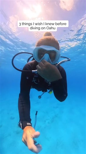 1. Not all dive shops go to the same sites. Most dive boats on Oahu stick to the south dive sites but Aaron’s Dive Shop is one of the few that dives the south east side, where you’ll find hidden reefs, lava wall structures, and sites most people don’t get to see. 2. Dive Club perks are a game changer. Aaron’s Dive Club members get exclusive deals, discounted dives, and early access to special trips. It’s honestly the best way to dive more for less. 3. The crew makes all the difference. Having a 