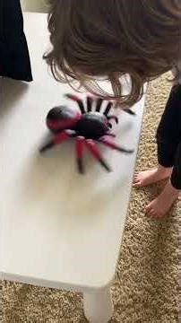 Toy Spider